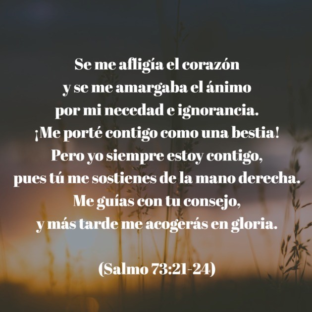 Podemos seguir el consejo de Dios.