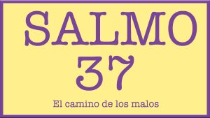 Samo 37 El camino de los malos