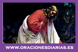 cuantas veces lloro Jesus en la Biblia