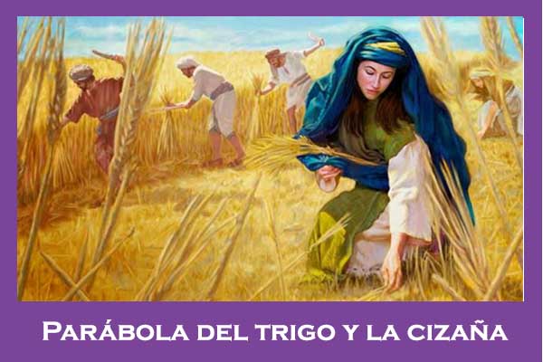 parabola del trigo y la cizaña