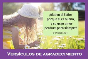 versiculos biblicos de agreadecimiento